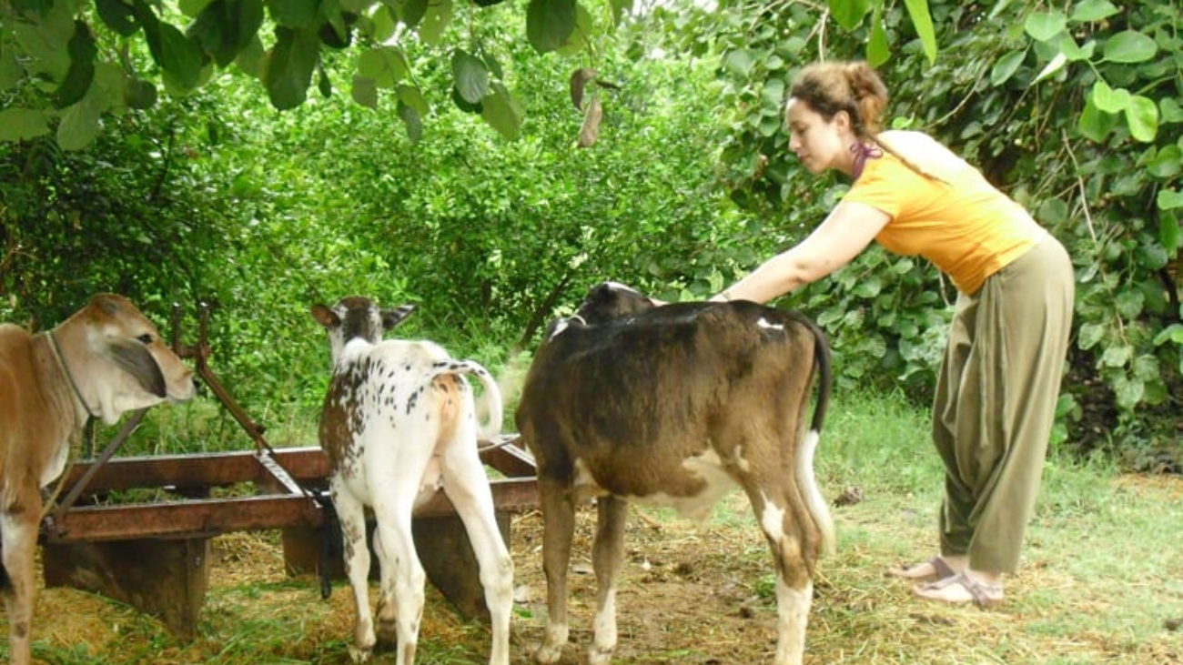 Ranakpur Farm 6