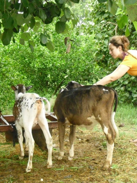 Ranakpur Farm 6