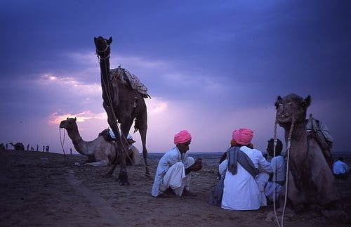 Camel-men.jpg
