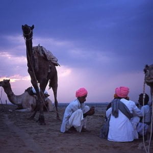 Camel men