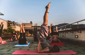 pexels-amin-sujan-529242-1375883 (1) (1)